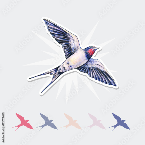 Beautiful swallow vector sticker. Watercolor illustration. Spring bird brings love. Handwork