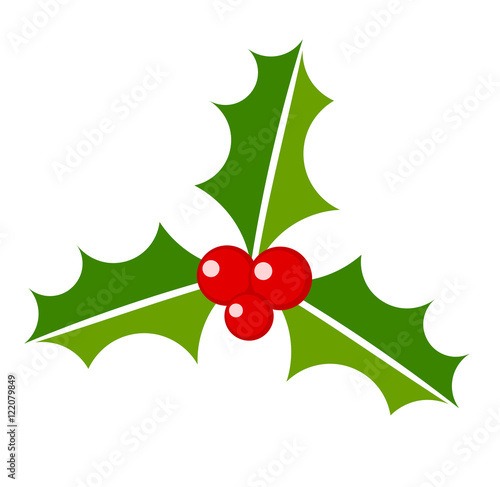 Christmas holly berry