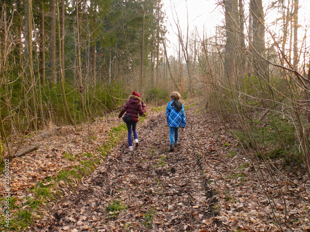 boy and girl, walking or hiking in autumn forest, back view. boy and girl, walking or hiking in autumn forest, back view.
