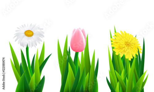 Set of flowers with grass