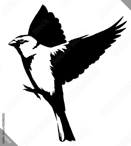 black and white paint draw tit bird vector illustration