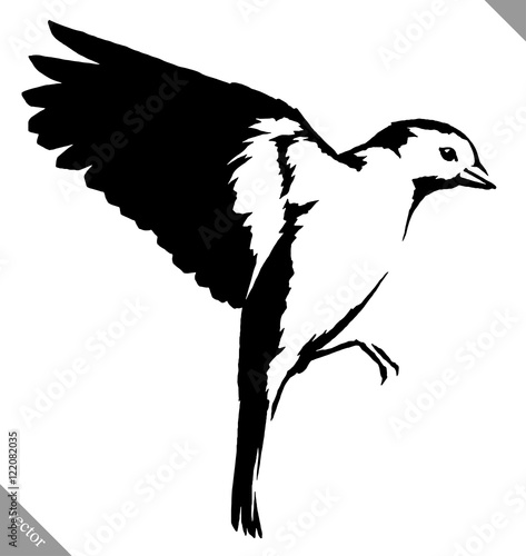 black and white paint draw tit bird vector illustration