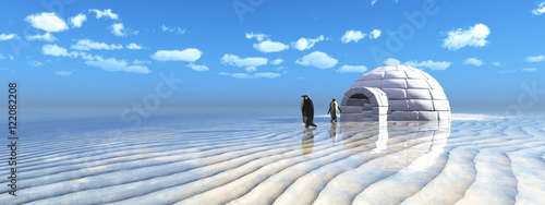 Foto penguins coming out of an igloo