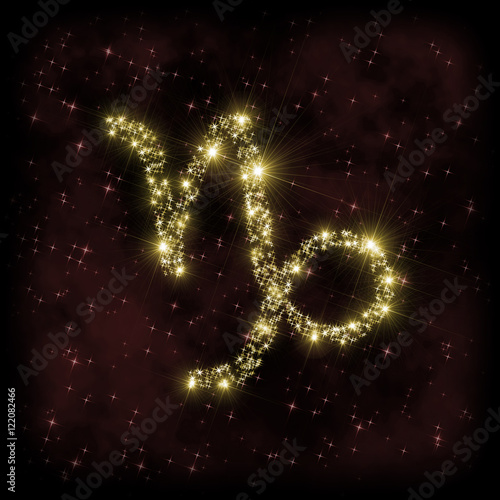 Capricorn Zodiak Sign