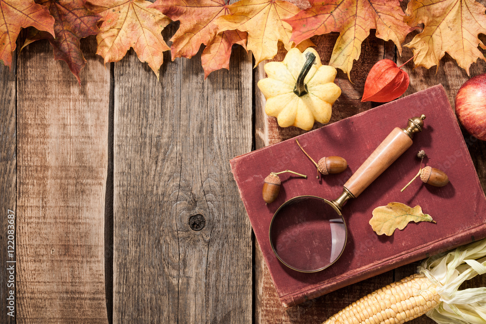 Fotografie Autumn still life
