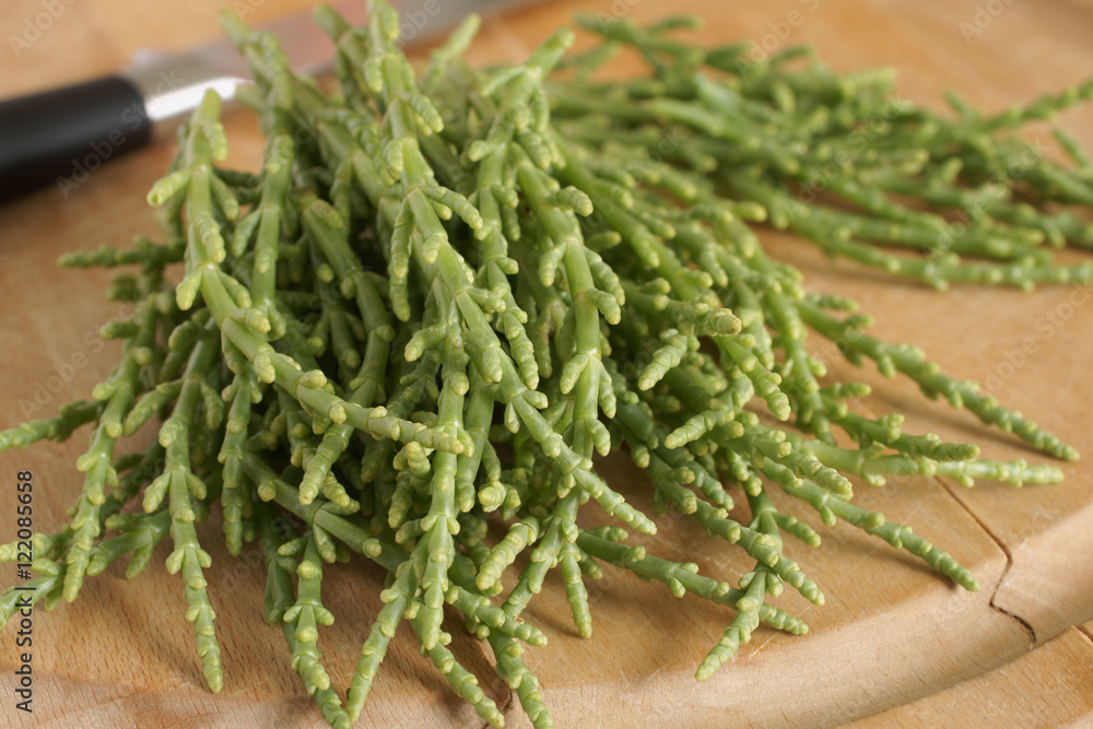 Samphire a coastal herb also known as sea beans glasswort pickleweed or Salicornia Samphire a coastal herb also known as sea beans glasswort pickleweed or Salicornia