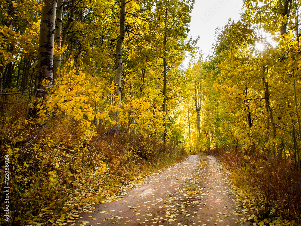 Fototapeta premium Lake Tahoe Fall