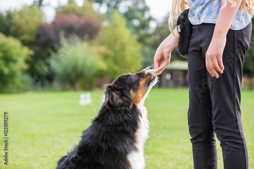 Fototapeta Naklejka Na Ścianę i Meble -  girl gives a dog a treat