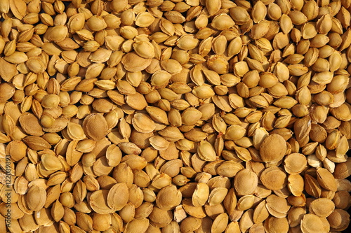 Apricot pits dried. The background of apricot pits.