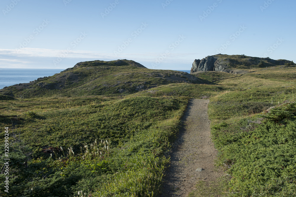 Hiking path, Newfoundland, Canada Hiking path, Newfoundland, Canada