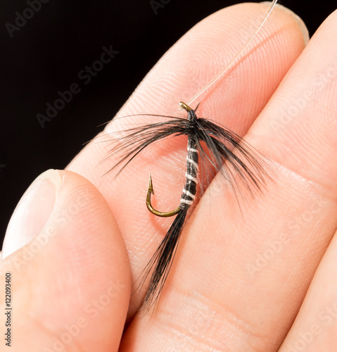 fly to catch fish in a hand on a black background