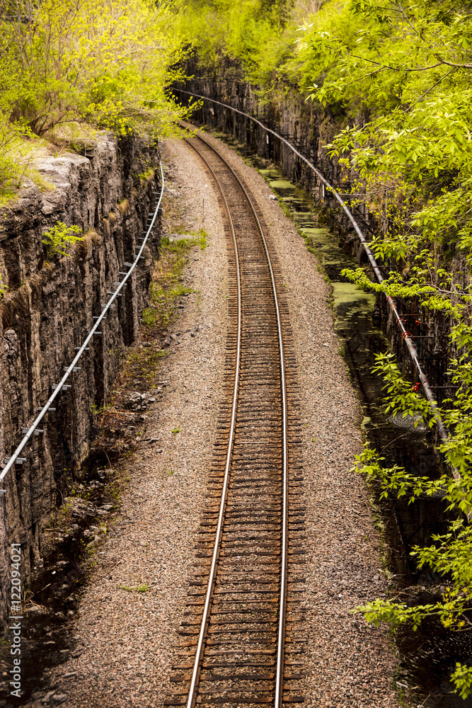 Obraz premium Railroad in the forest