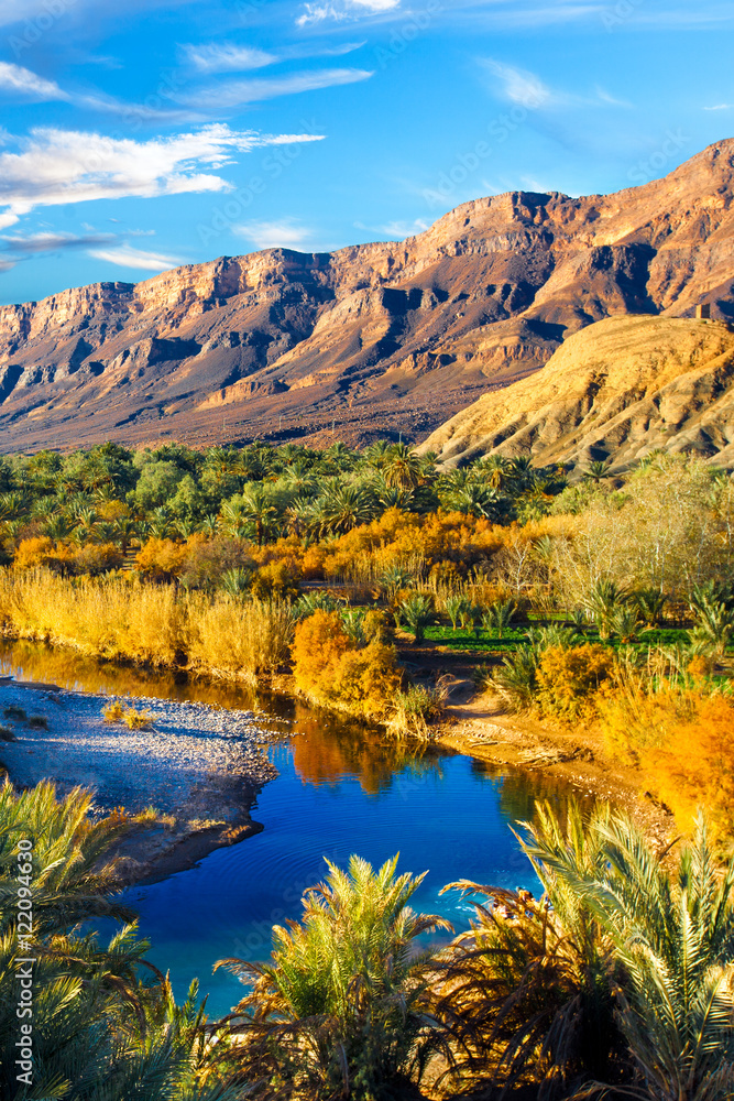 Lush oasis in the Moroccan desert. Aerial view palms and river. Vertical Lush oasis in the Moroccan desert. Aerial view palms and river. Vertical