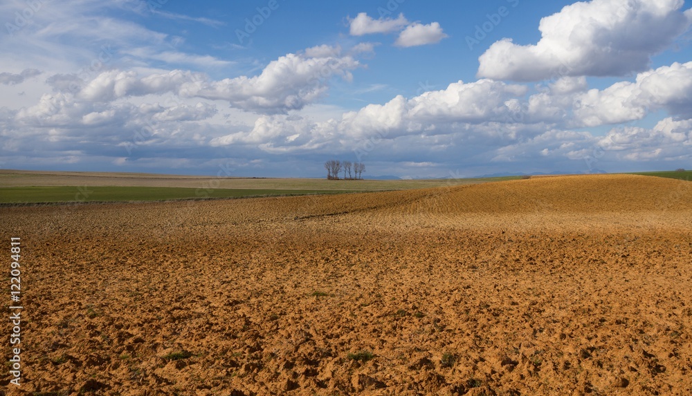 Paisaje de Campo con Terrenos arados y Cielo con Nubes Paisaje de Campo con Terrenos arados y Cielo con Nubes