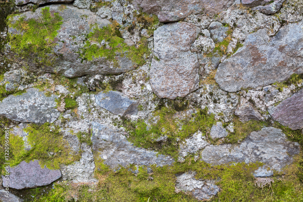 The Inner Basin Trail in Flagstaff Arizona.