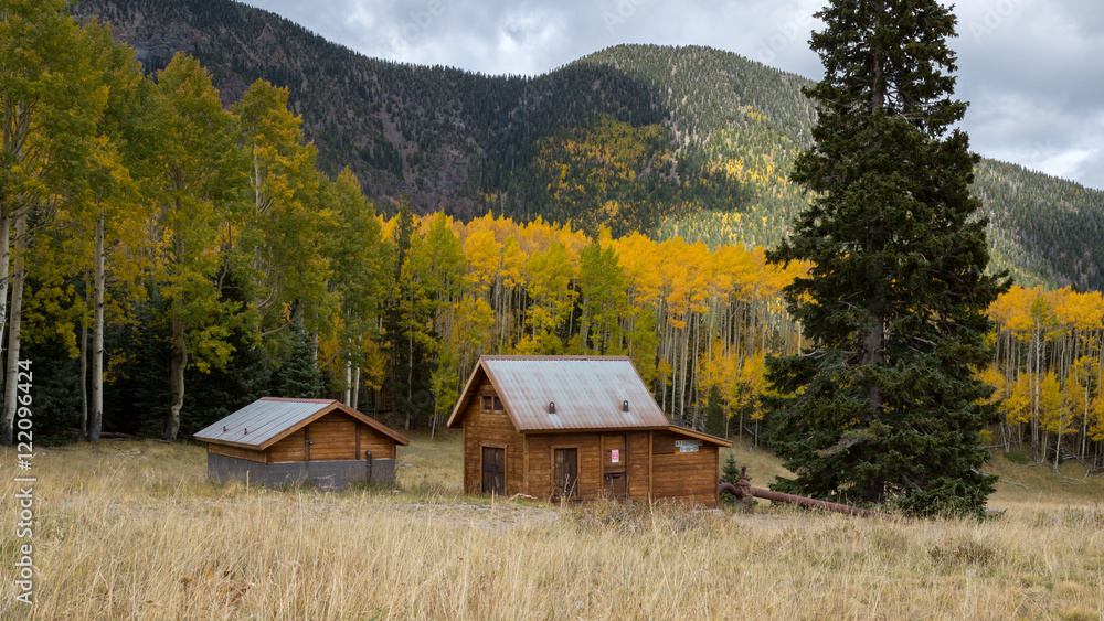 The Inner Basin Trail in Flagstaff Arizona. The Inner Basin Trail in Flagstaff Arizona.
