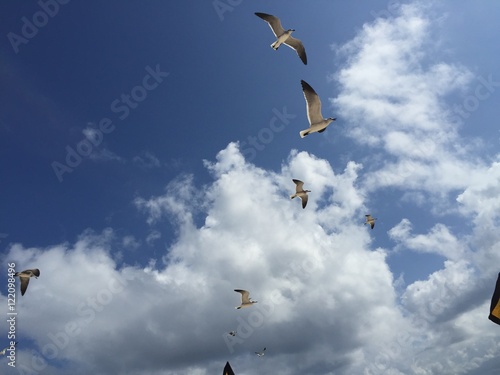 CANCUN - MEXICO