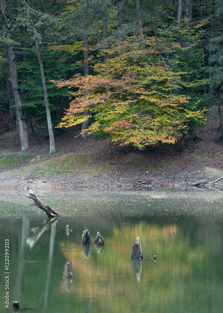 Fototapeta premium Churet Lake, Mazandaran, Iran