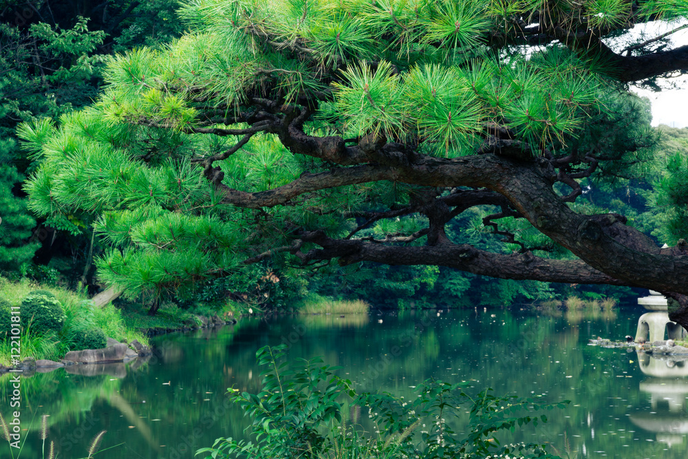 Japanese garden Japanese garden