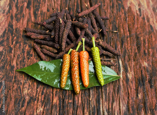 Long Pepper, Indian long pepper, Javanese long pepper (Piper retrofractum Vahl), spices and herbs with medicinal properties. photo