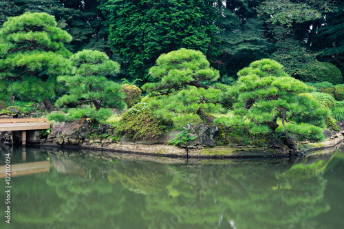Japanese garden