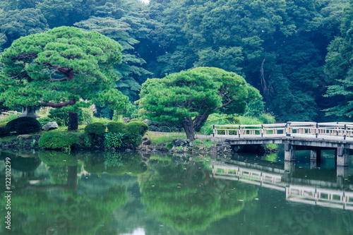 Photography Japanese garden