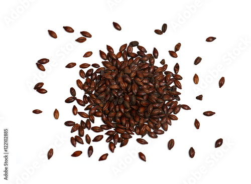 Chocolate Malted Barley on White Background