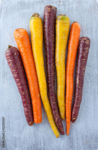 A bunch of rainbow carrots on a gray background. 