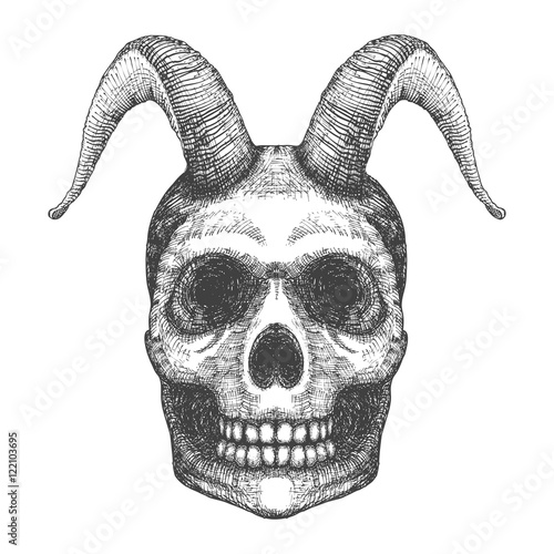 Skull with horns. Human skull with goat horns. Demon Head. A demon,  supernatural, malevolent. Witchcraft, occultism, mythology and folklore, religion attribute. Horned human skull t shirt print.