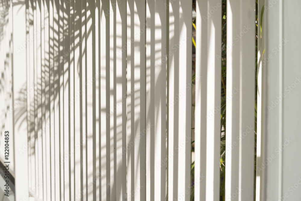 Obraz premium Tree Shadows background.