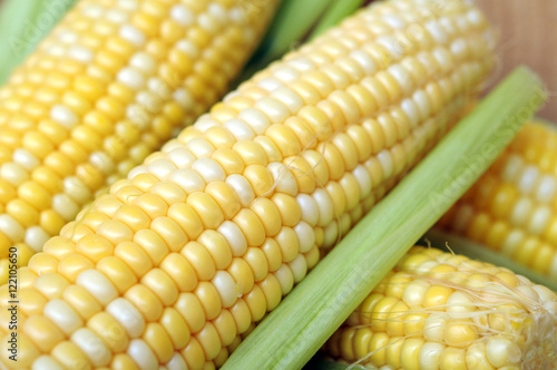 sweet corns