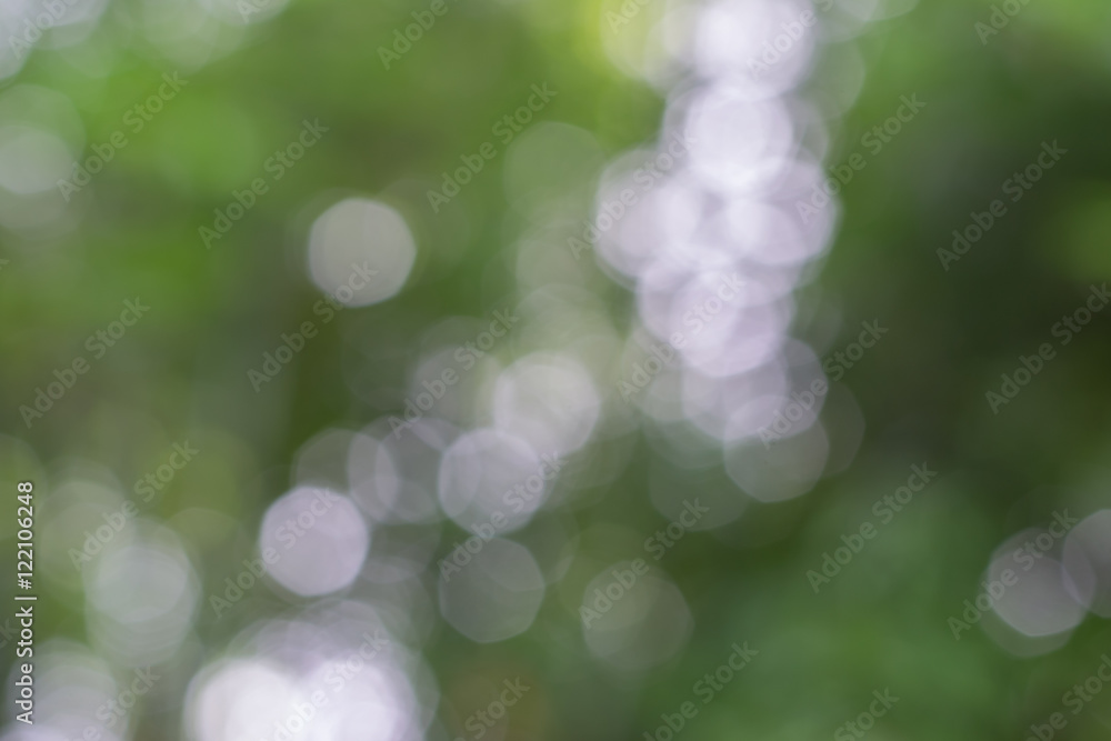 Fototapeta premium abstract nature blurred Bokeh background
