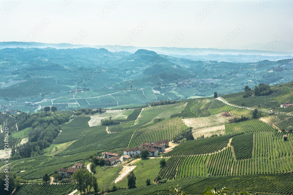 Fototapeta premium Fields and vineyards of La Morra, Italy 