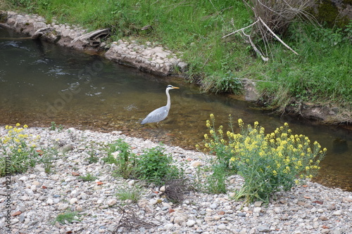 HERON 