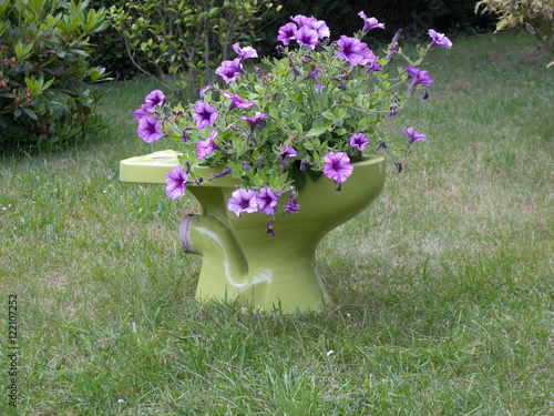 humour pot de fleur 
