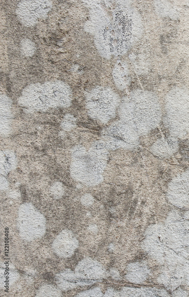 pattern of tree roots on wall, color concrete old wall texture pattern of tree roots on wall, color concrete old wall texture