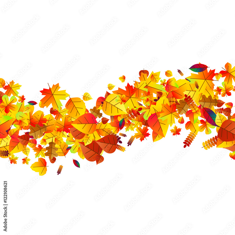 Autumn leaves scattered background. Oak, maple and rowan