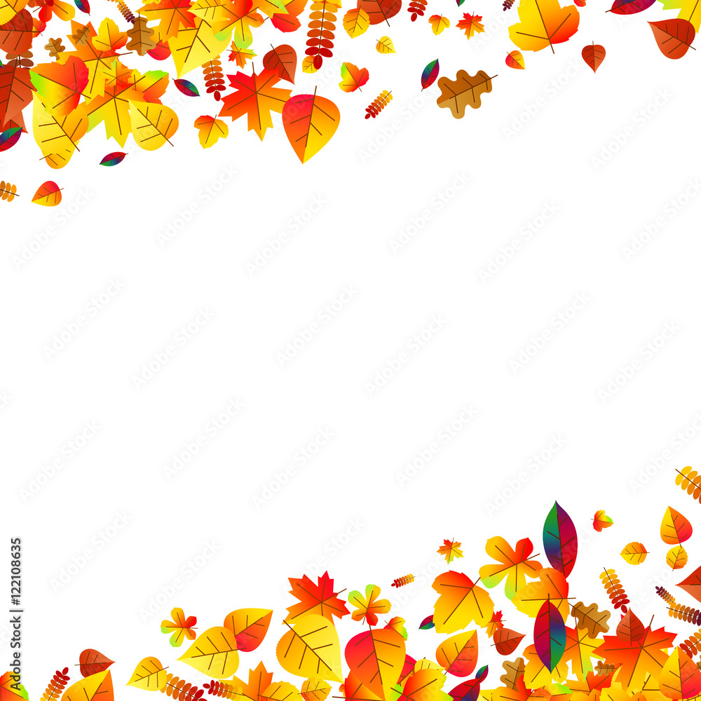 Autumn leaves scattered background. Oak, maple and rowan