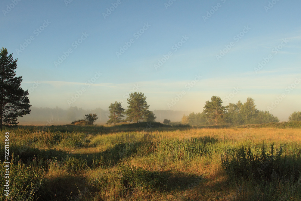 autumn morning landscape