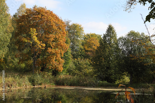 autumn pond surrounded by autumn forest