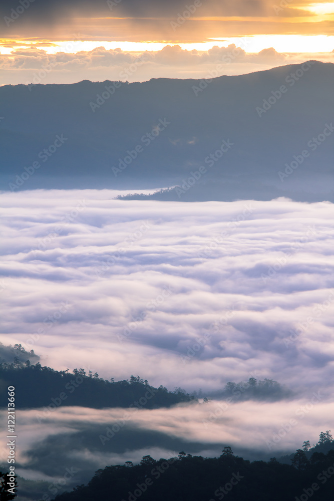 Moring fog in valley of north Thailand
