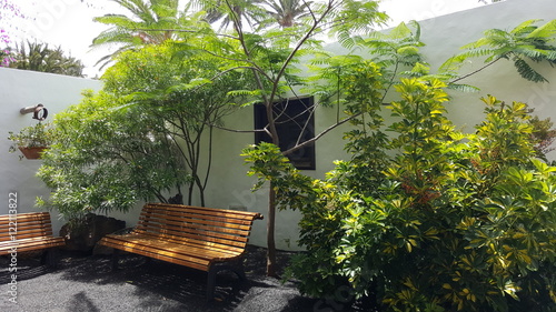 Beautiful historic white villa and garden on the Canaray Island of Lanzarote photo