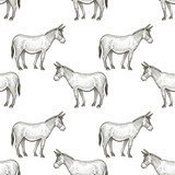 Donkeys. Seamless vector pattern with animals. Black and white illustration.