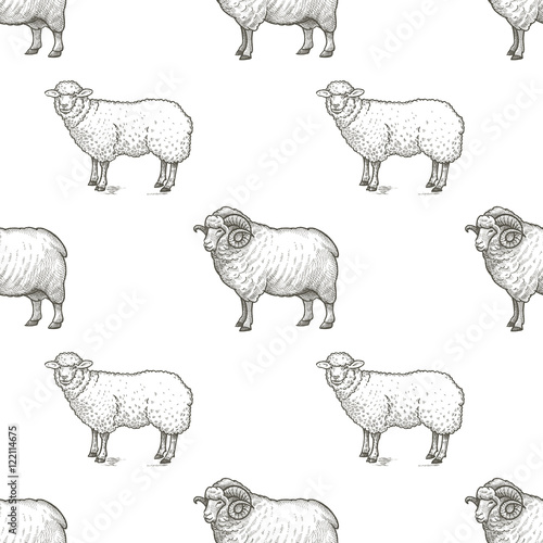 Rams. Seamless vector pattern with animals. Black and white illustration.