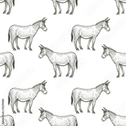 Donkeys. Seamless vector pattern with animals. Black and white illustration.