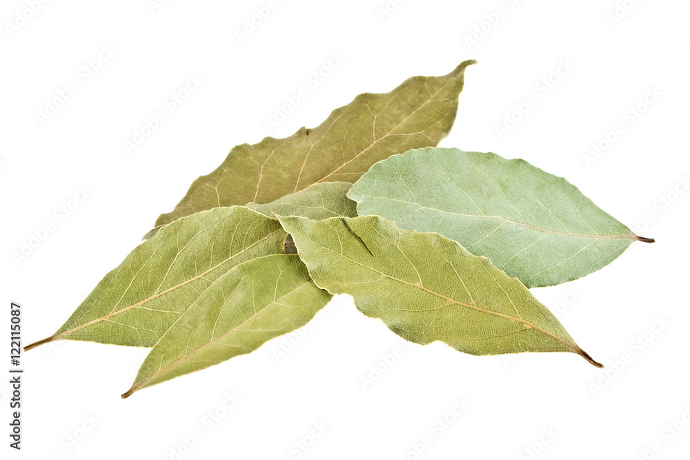 Obraz premium Dried bay laurel leaves isolated on a white background close up