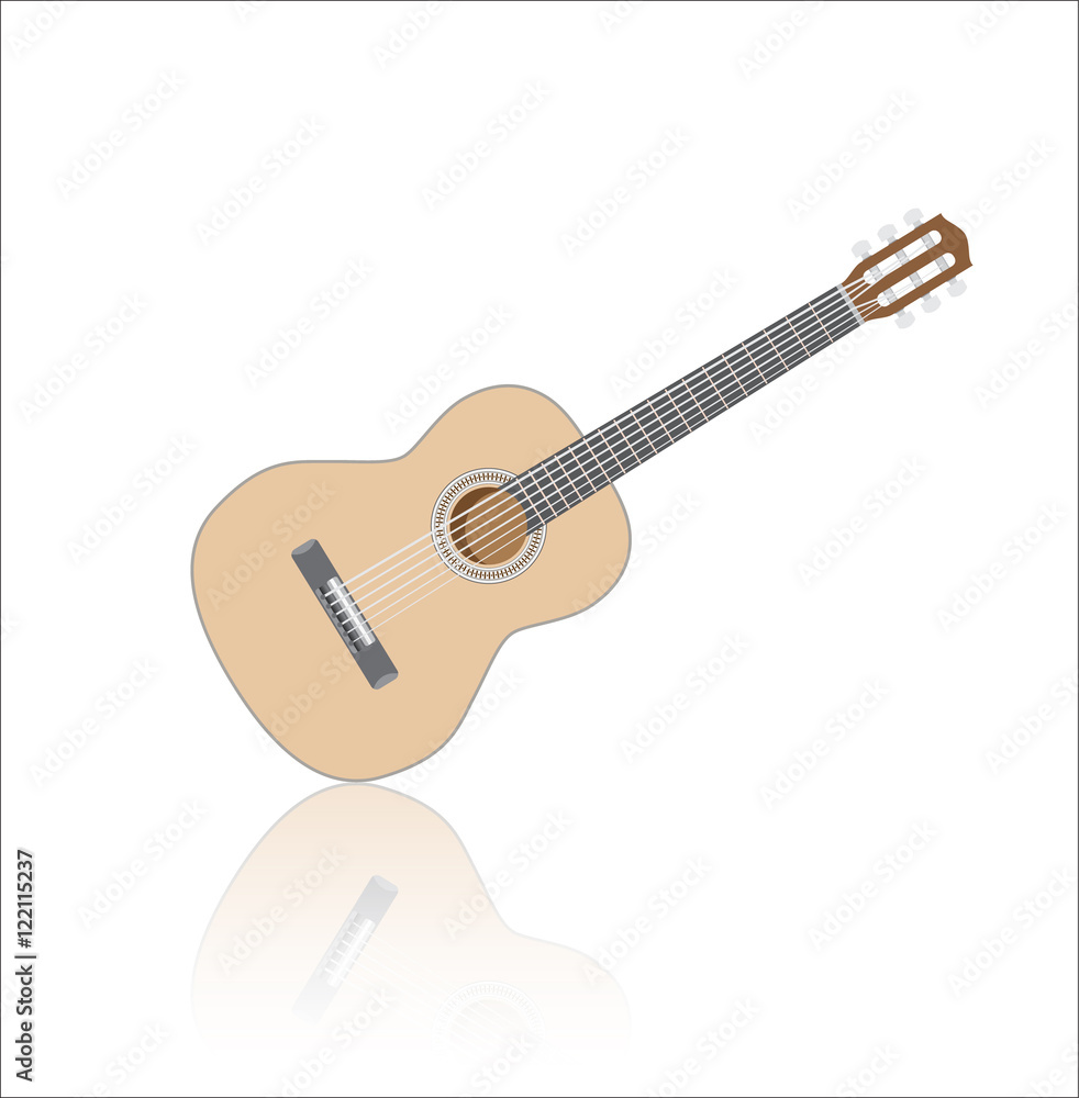 Acoustig guitar, isolated musical instrument with reflection. Vector illustration Acoustig guitar, isolated musical instrument with reflection. Vector illustration
