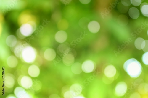Bokeh color tone moss, Abstract natural  background. 