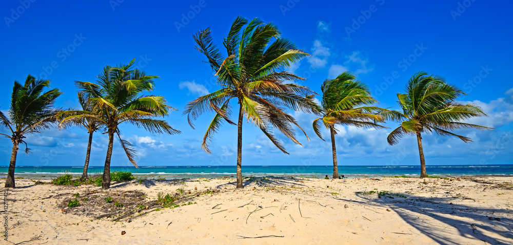 Obraz premium Picturesque coast Diani
