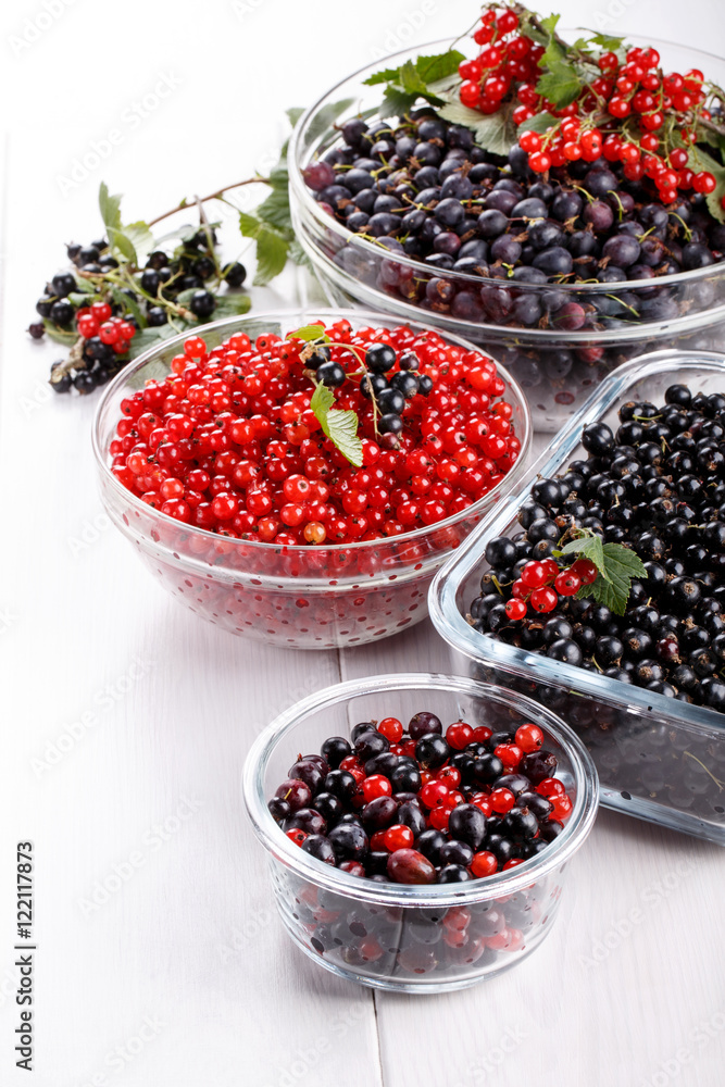 Black gooseberries blackcurrants and redcurrants. Black gooseberries blackcurrants and redcurrants.
